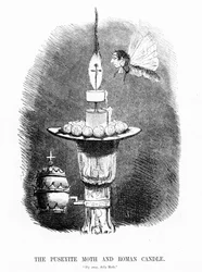 La Mite Puseyite et la Bougie Romaine, illustration de 